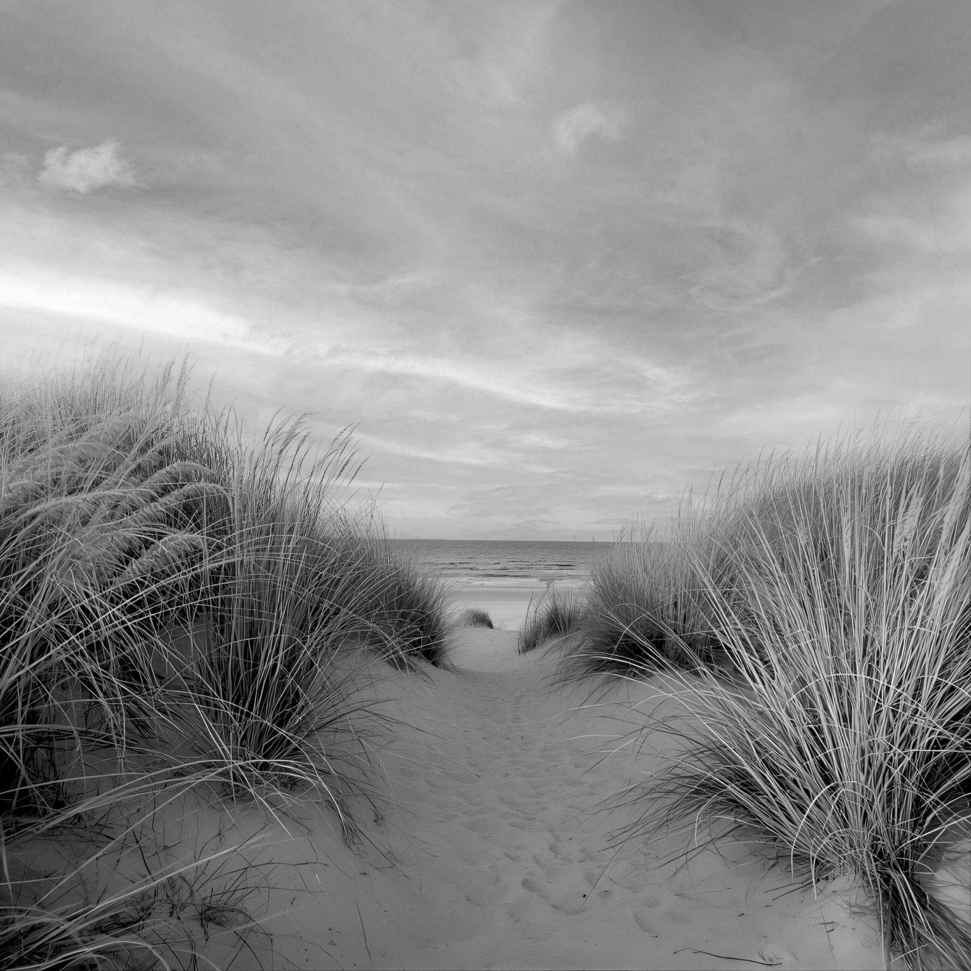 Black and White Coastal Dunes Print | Beach Path Seascape Photography | Minimalist Sand Decor - Image 13