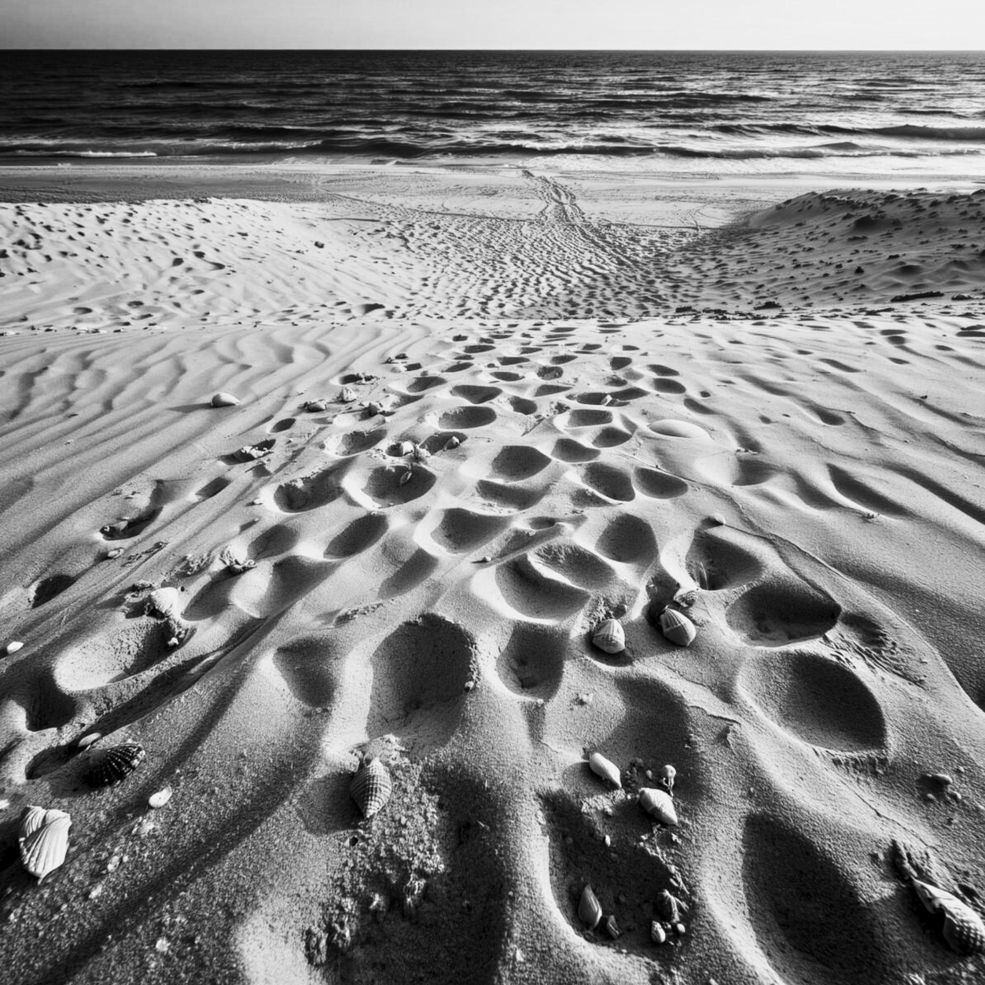 Black and White Beach Sand Print | Textured Shoreline Photography, Minimalist Seaside Decor - Image 13